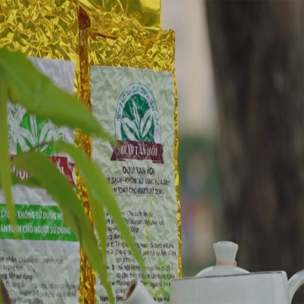 OCOP Chè dưới tán hồi Khau phụ Bình Gia 1000gram