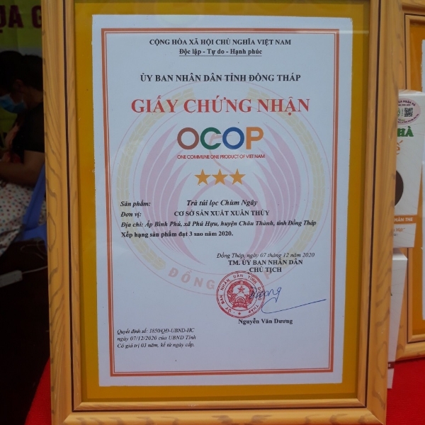 OCOP - TRÀ TÚI LỌC CHÙM NGÂY - XUÂN THỦY - 50 TÚI LỌC/HỘP-100g - Ảnh 2