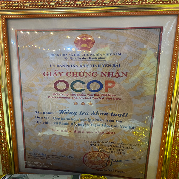 OCOP - Trà Shan Tuyết Phình Hồ - 100gr - Ảnh 2