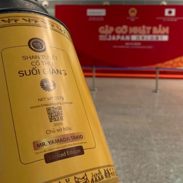 Đại lão Vương Trà - Hoàng Trà Suối Giàng - Ảnh 3