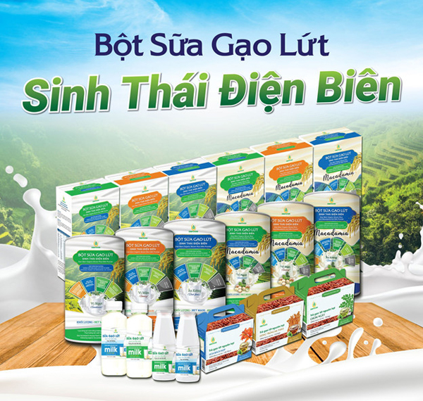 OCOP - Bột sữa gạo lứt STĐB - Ăn kiêng - Lon 450g - Ảnh 3