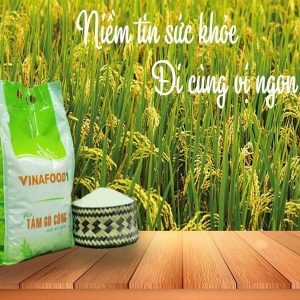 Gạo Tám Gò Công Vinafood1 Túi 3.5kg