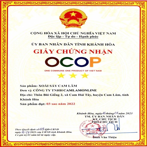 Ocop - Xoài Sấy Muối Ớt - Cam Lâm Hộp 300gr - Ảnh 3